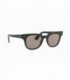 RB2168 901/P2 50 GAFAS DE SOL