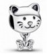 CAT SILVER CHARM